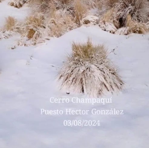 Córdoba. Se registró caída de nieve este sábado en algunos sectores de la provincia (Gentileza).