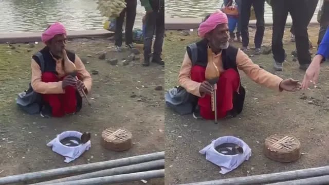 Desopilante video de Facundo Zárate tocando una serpiente en India