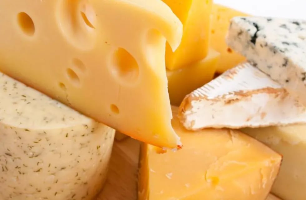 Cómo participar de un remate de 680.000 kilos de queso de Sancor.