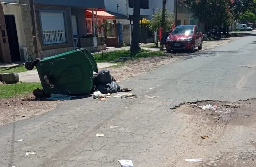 Vecinos de Lituania al 5600 denunciaron la presencia de un cadáver descuartizado dentro de un contenedor de basura. (@somosrosariook)
