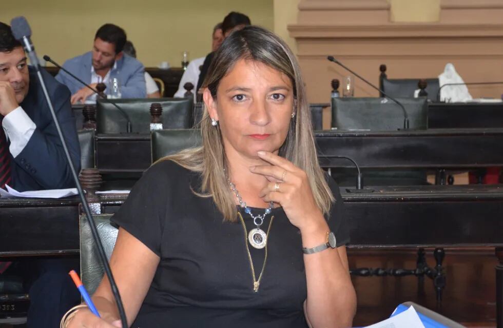 Silvina Abilés busca eximir de votar a las personas de riesgo