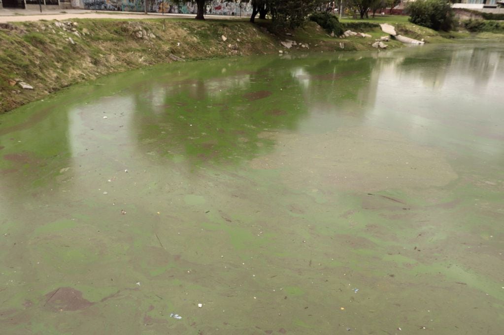 El Municipio de Villa Carlos Paz le exigió al Gobierno Provincial que se extraigan de manera urgente las cianobacterias y ejecute un protocolo de acción sobre el lago San Roque