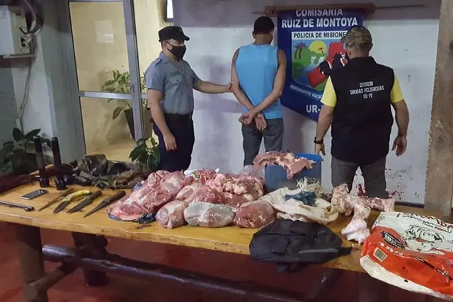 Secuestraron más de 40 kg de carne vacuna faenada