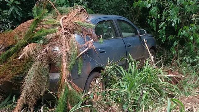 Recuperan un auto robado en una zona de monte en San Vicente