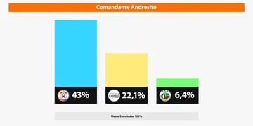 El Frente Renovador se alzó con la mayoría de votos en Comandante Andresito