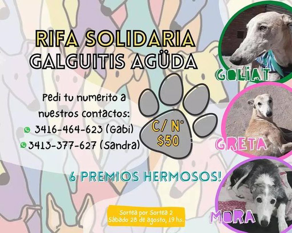 Organizan una rifa en Pérez para ayudar a tres perros de la calle (Facebook Gabi Silva)