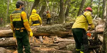 Alerta por posibles incendios forestales en Tierra del Fuego.
