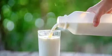 Día de la leche