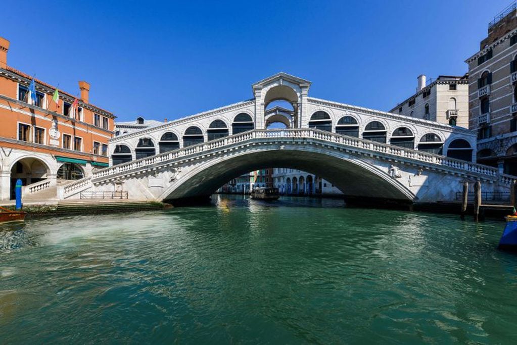 El agua de los canales de Venecia se volvió cristalina y se llenó de peces, patos y cisnes. (Foto: Andrea Pattaro/AFP)