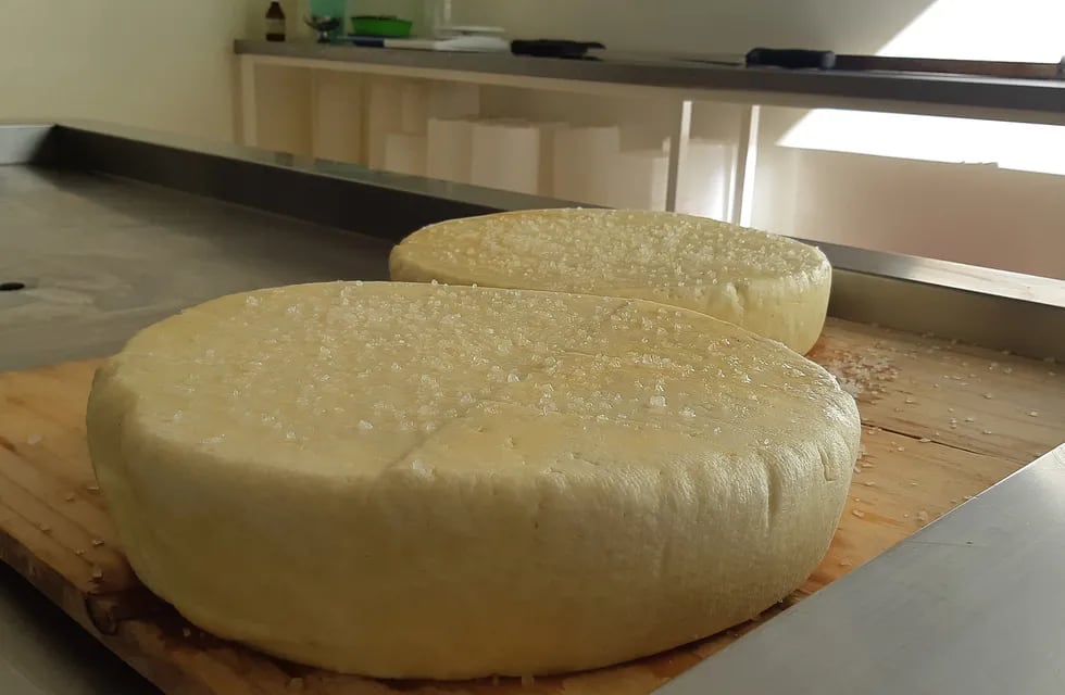 El queso artesanal que elaboran los estudiantes de la escuela Francisco García es con leche de oveja. Imagen ilustrativa.