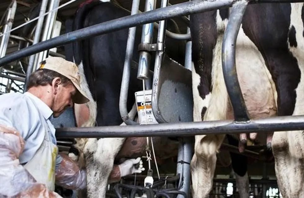 La industria láctea llevó a Macri planteos de competitividad, rentabilidad y financiamiento.