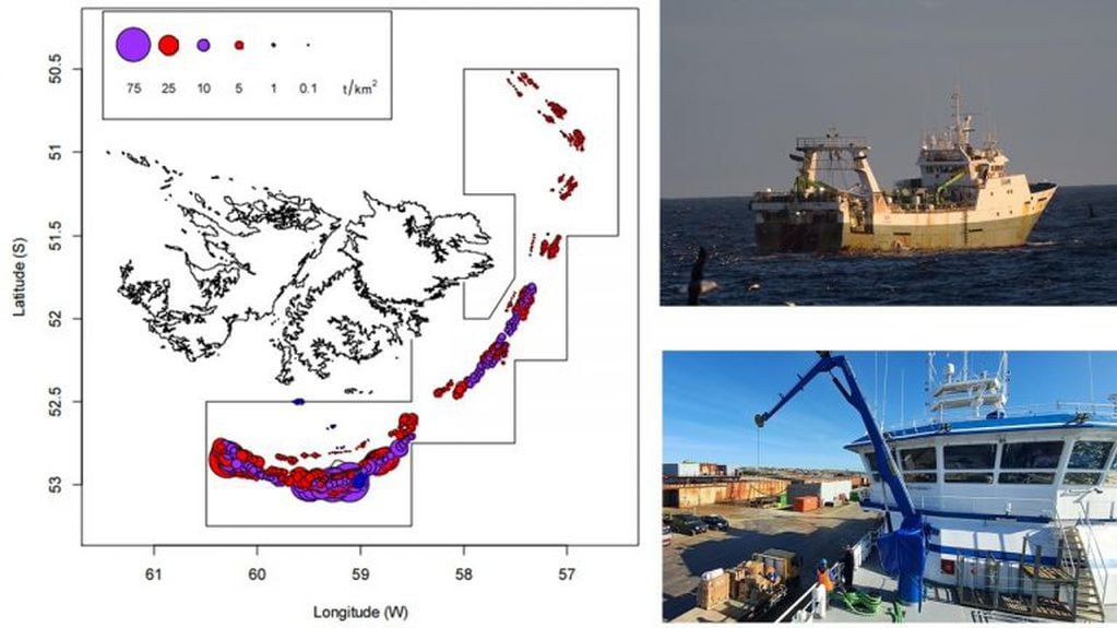 Pesca en Malvinas - Principales zonas de extracción de la Flota Gallega, representada en importancia por toneladas por kilómetro cuadrado.