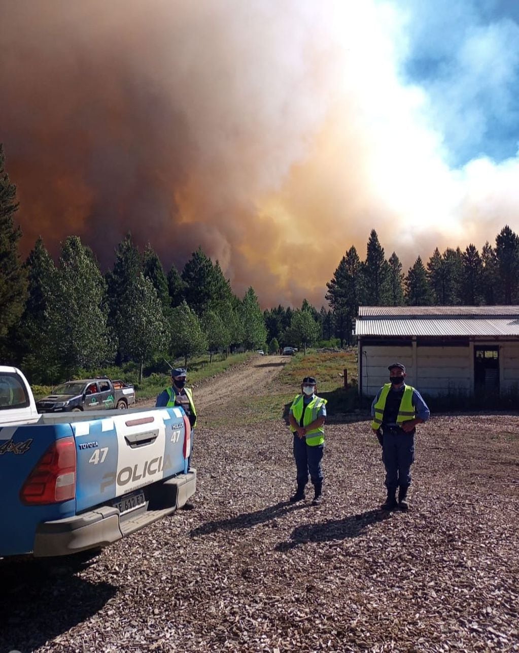 Incendio forestal en la zona de Aluminé se habría iniciado por un rayo.