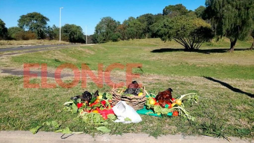 Tras gallos muertos: realizaron un supuesto "ritual satánico" en la zona del Parque Nuevo de Paraná. Fotos: ElOnce.