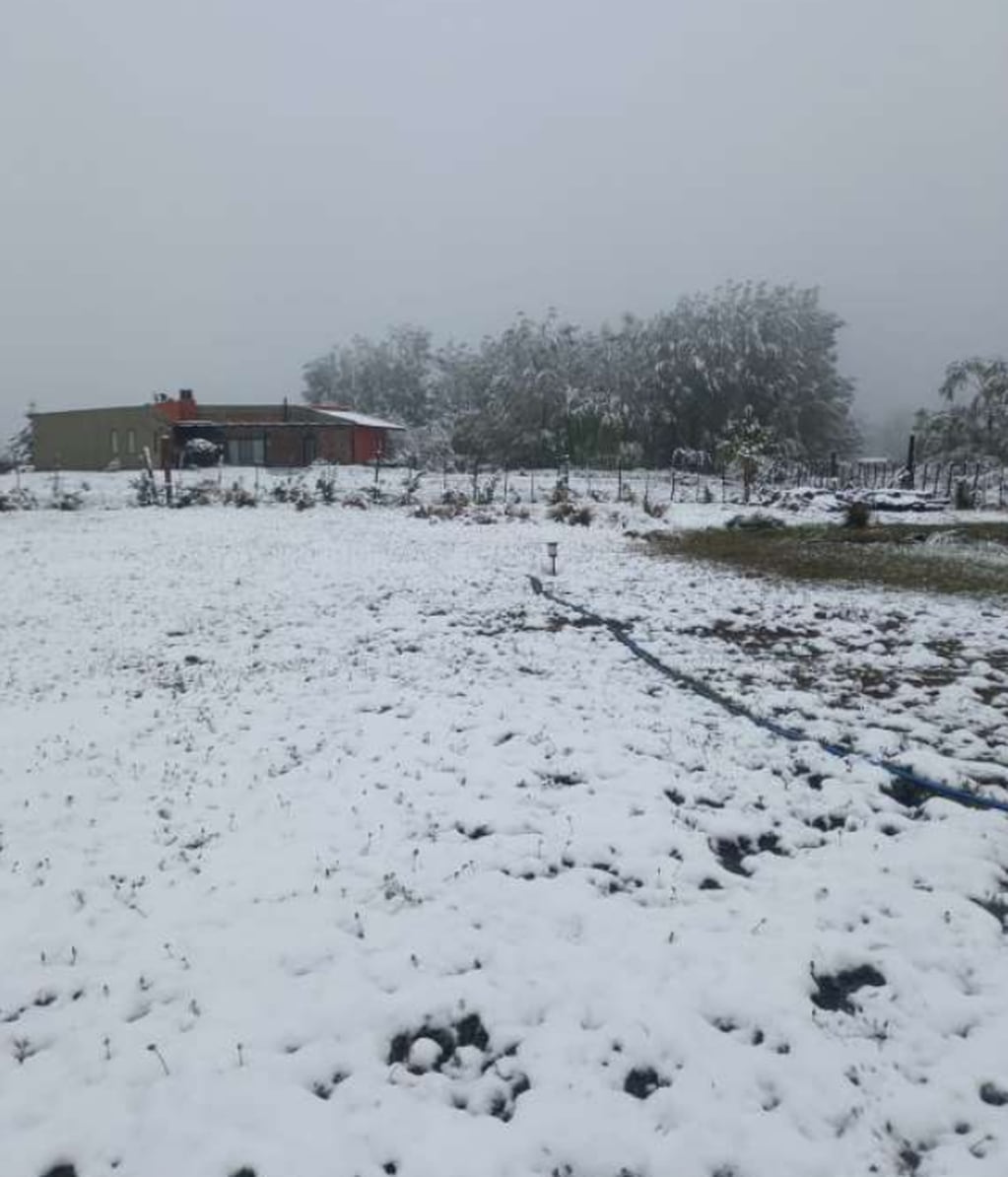 Nieve Manzano Histórico en pleno noviembre