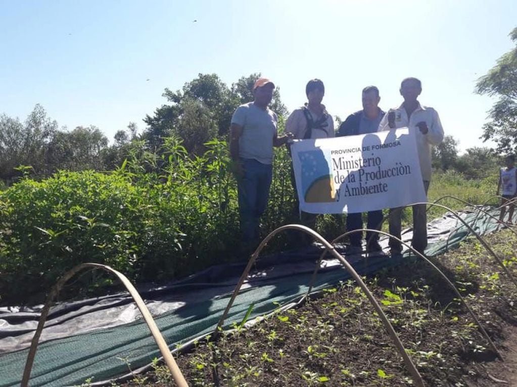 El gobierno de la provincia brinda apoyo a los tomateros de la zona norte (Prensa Provincia de Formosa)