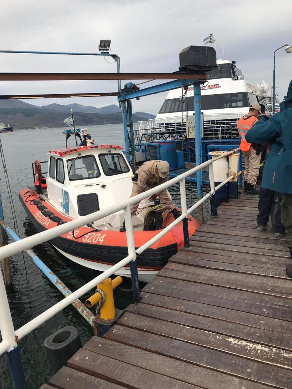 Rescate de perro labrador en Ushuaia.