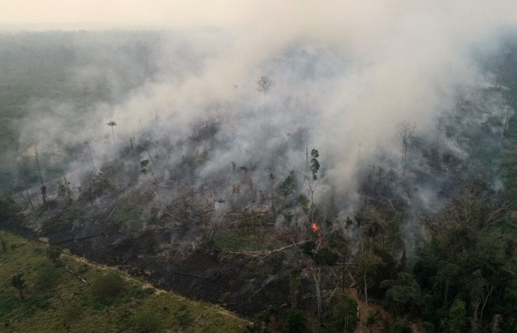 Alerta Amazonas: en estos últimos 33 años se perdió 47 millones de hectáreas de bosque