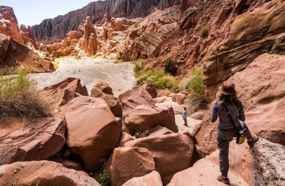 Salta, uno de los destinos más elegidos por los turistas.