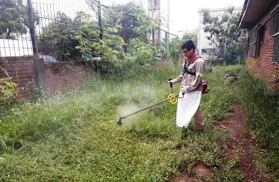 Se realizan tareas de mantenimiento para prevenir el dengue en escuelas de Oberá