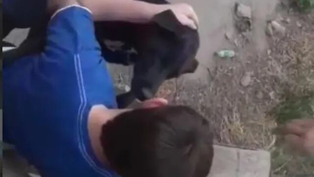 Chicos de Arroyito salvaron a un perro atrapado en un canal