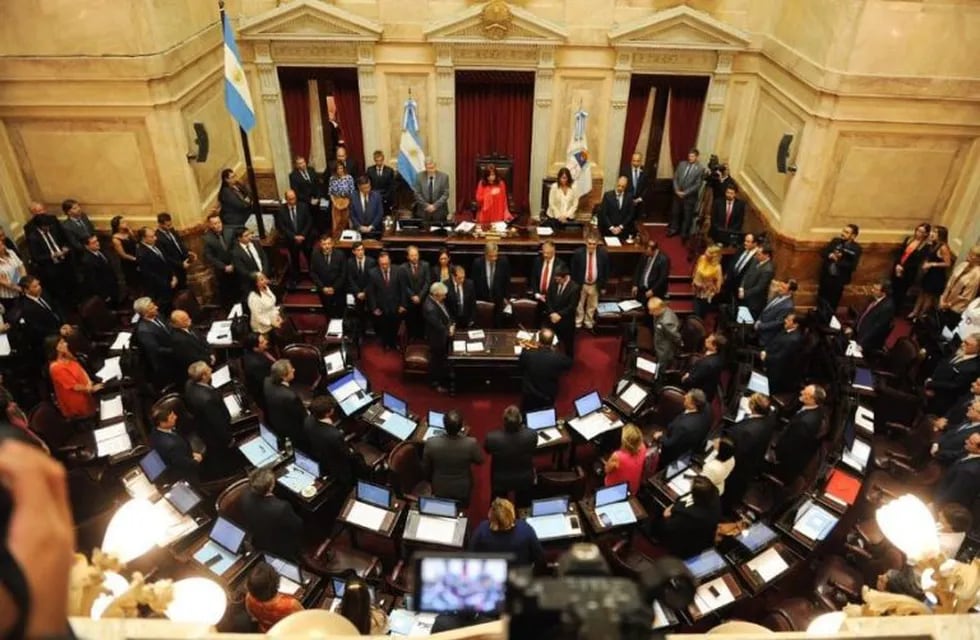 Cámara de senadores. (Foto: Federico López Claro)