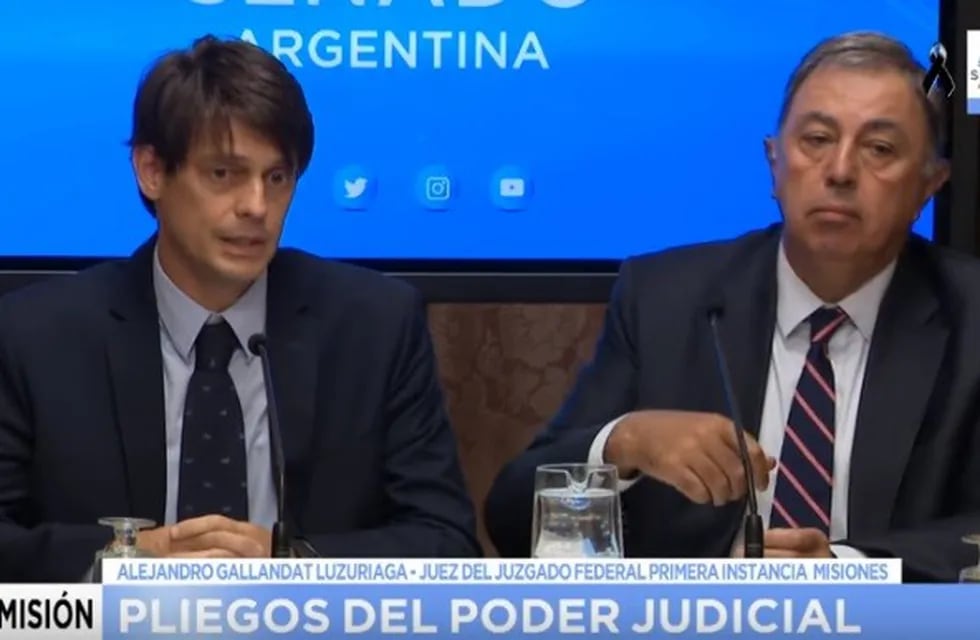 Alejandro Gallandat junto al presidente de la Comisión de Acuerdos del Senado, Rodolfo Urtubey. (Captura de Senado TV)