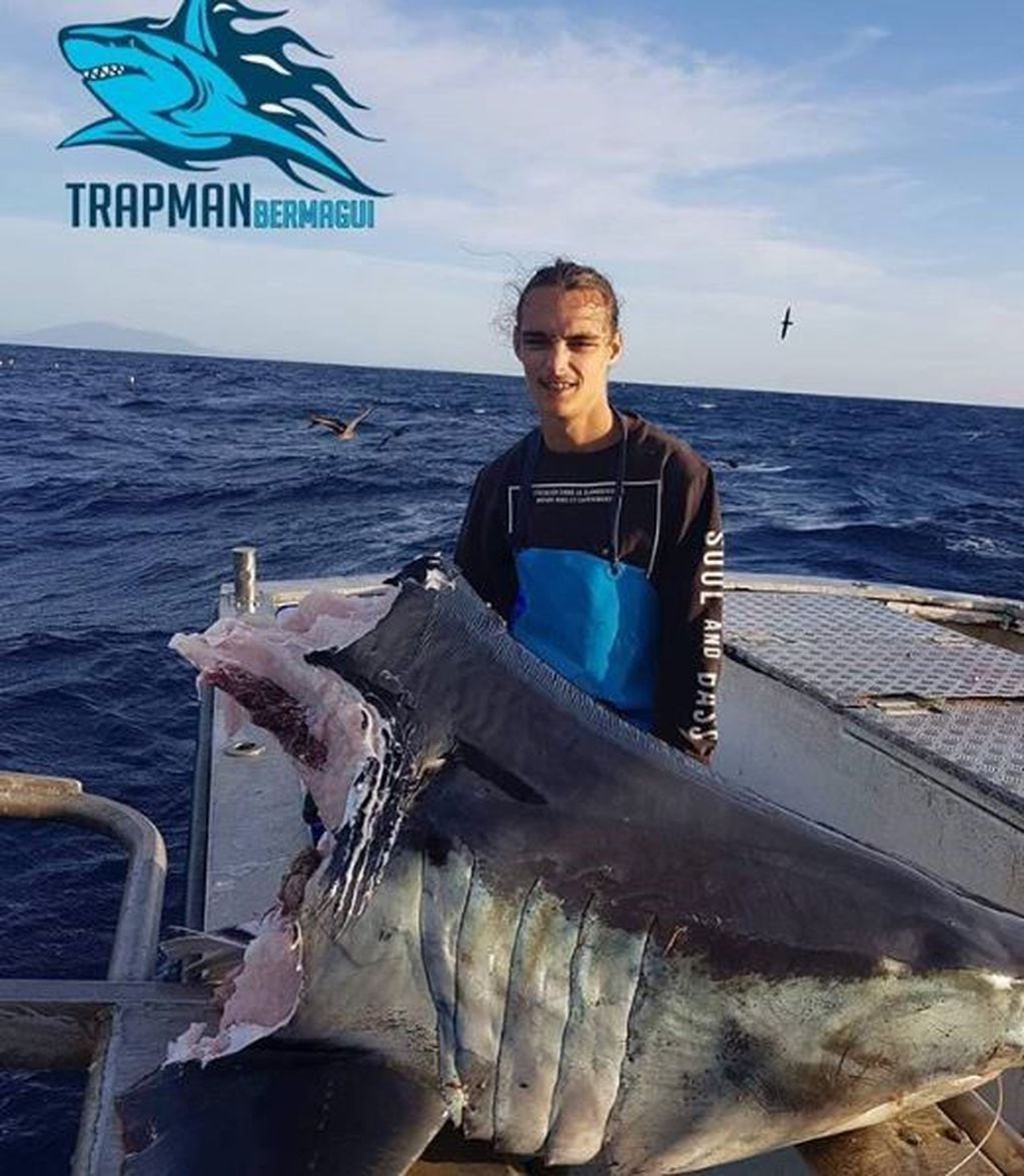 Encontraron la cabeza de un tiburón de 100 kilos devorado por una criatura más grande (Foto: Instagram/trapman_bermagui)