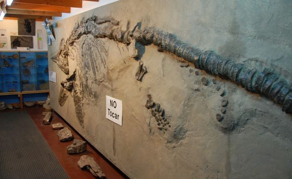 Museo Paleontológico de Bariloche.