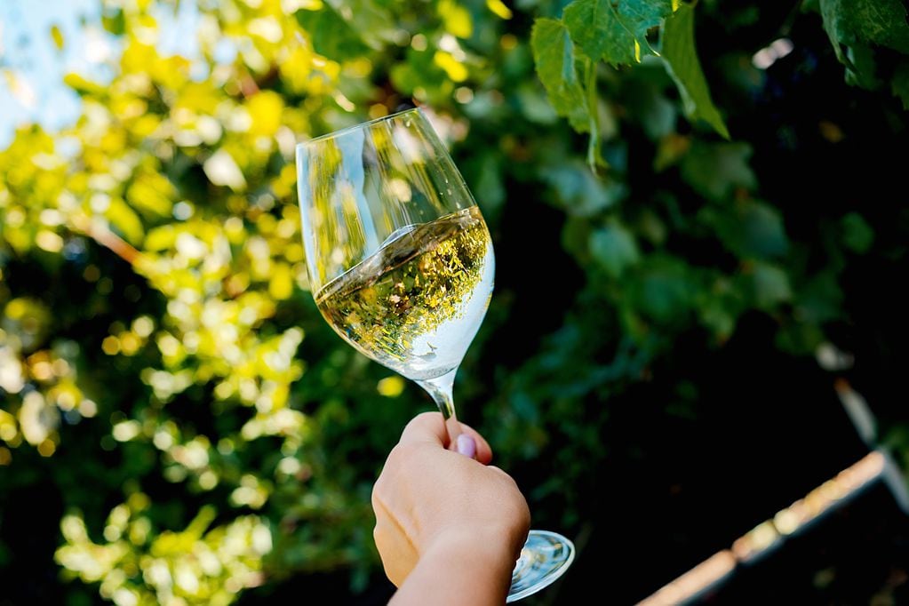 El vino blanco es el principal ingrediente de esta exótica receta.