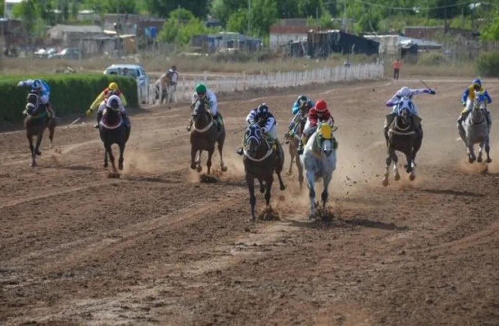 Otro caballo muere tras ganar una carrera en e Hipódromo de Neuquén.