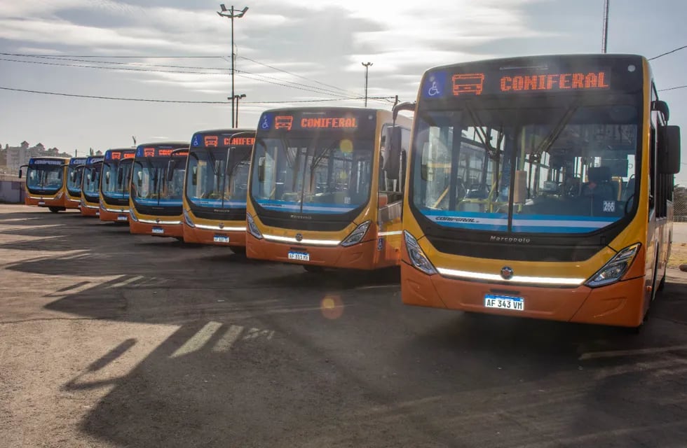 La empresa suma ocho nuevos coches para la línea 43 de urbanos de Córdoba. (Municipalidad de Córdoba).