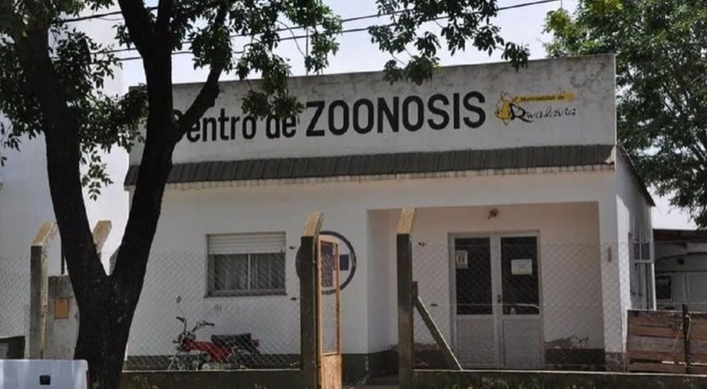 Los perros son observados en el centro de zoonosis de Rivadavia.