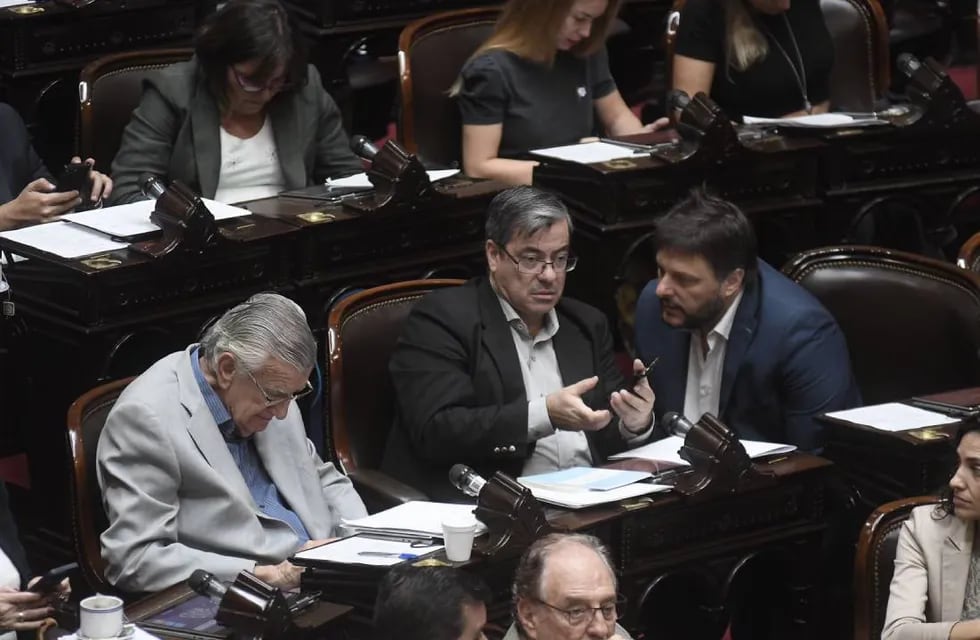 El jefe del bloque oficialista, Germán Martínez, quiere ampliar la sesión pedida por Hacemos Coalición Federal (Foto: Federico López Claro)