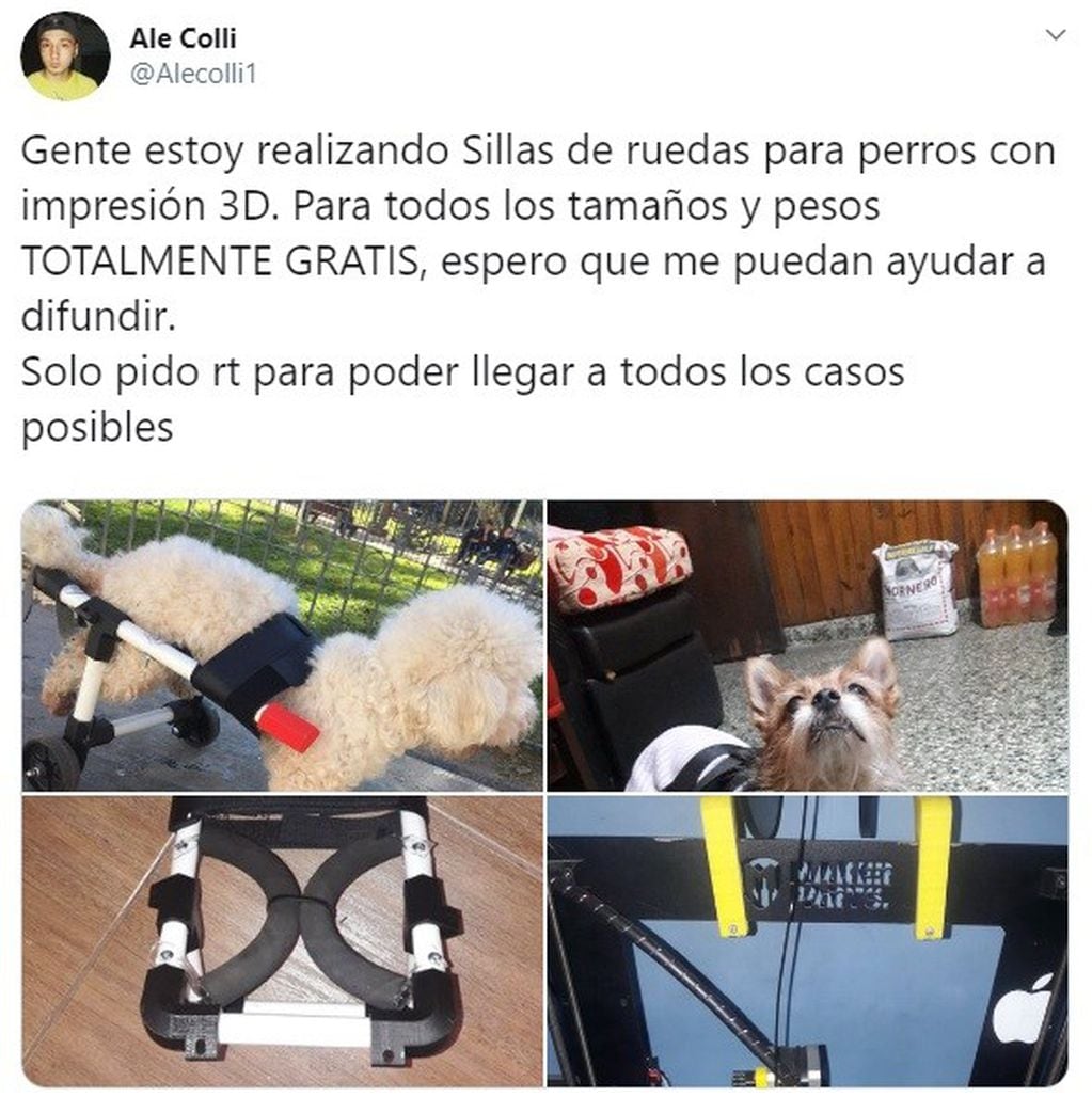 Carrito para perros Run Again. Dog Wheelchairs 