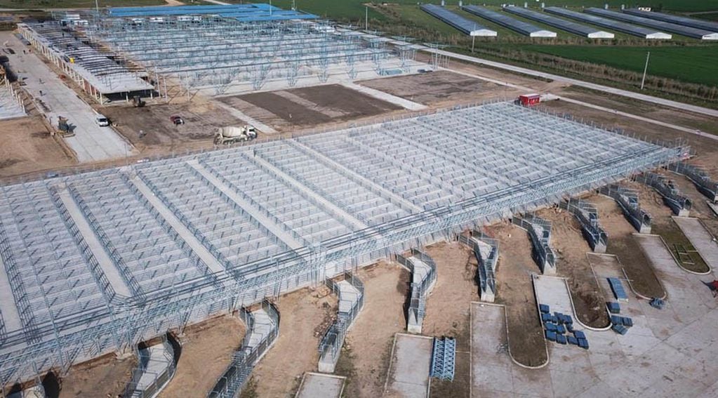 Nuevos sistemas de carga y descarga mas eficientes en el nuevo Mercado Agroganadero de Cañuelas