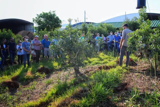Campo Viera y Campo Grande: capacitaciones a productores de yerba