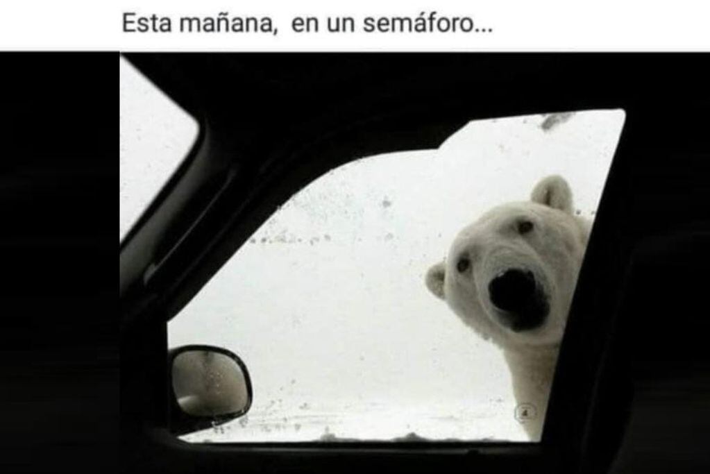 Meme tras la nevada en Córdoba. (WhatsApp)