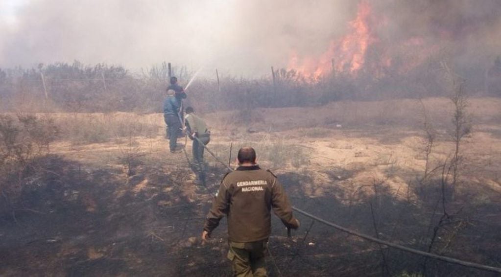 El incendio es combatido en campos de Perdriel, Luján de Cuyo.