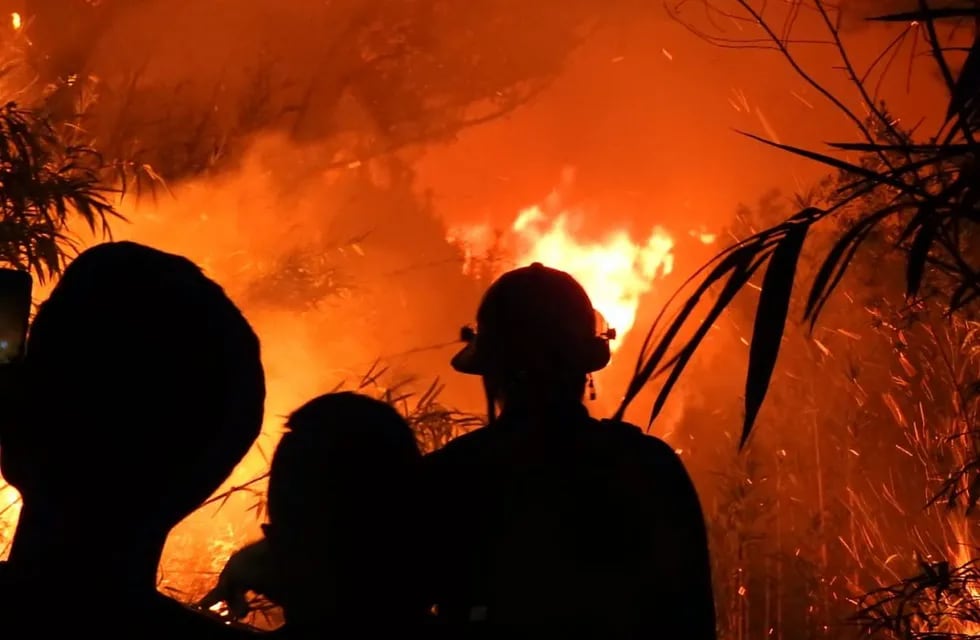 Alerta por incendios en Misiones: solamente el lunes se registraron más de 30 focos en 15 municipios.