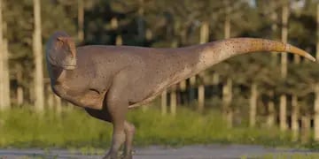 Hallan en Chubut una nueva especie de dinosaurio carnívoro que vivió hace 69 millones de años