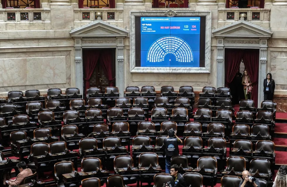 La Cámara de Diputados se prepara para volver a votar la "ley bases" (Foto: Federico López Claro)