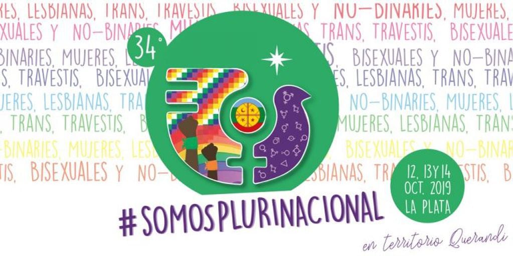 #somosplurinacionales (web).