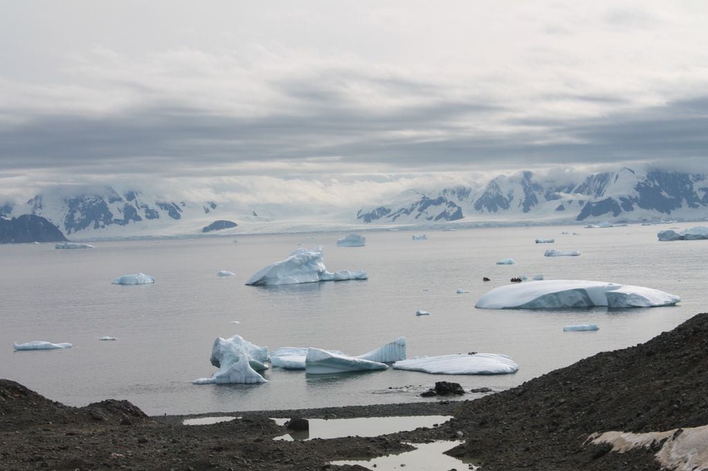 La Antártida constituye un reservorio de recursos naturales que son codiciados por el mundo. Generar conciencia de la conservación de recursos y especies, permitirá que siga siendo un continente dedicado a la Paz y a la Ciencia.