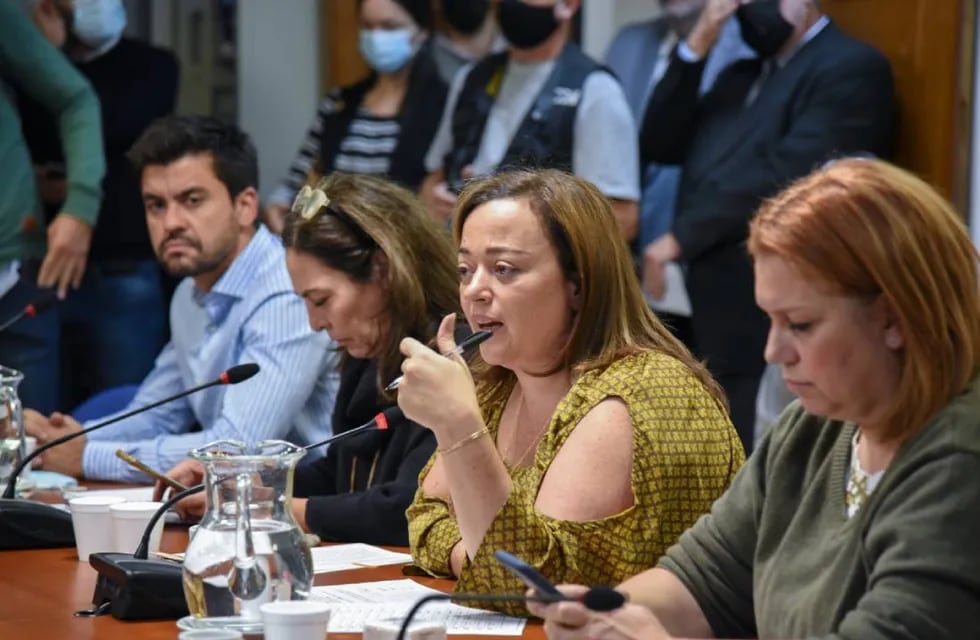 Cecilia Moreau es la candidata más firma para suceder a Sergio Massa en la presidencia de Diputados (Foto: HCDN)