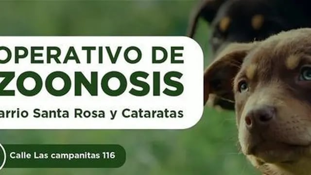 Operativos de Zoonosis en Puerto Iguazú
