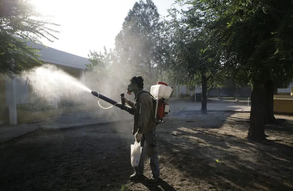 Imagen archivo. Un trabajador municipal fumiga un patio de una escuela de Charata, Chaco. AP/Jorge Saenz.