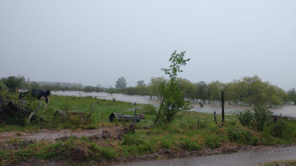 La lluvia provocó el desborde de arroyos