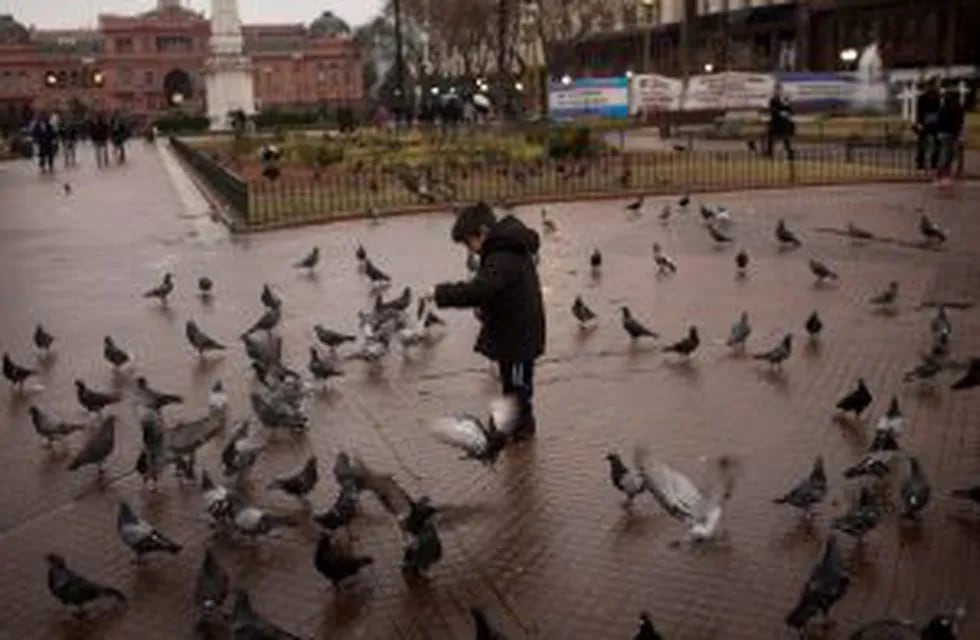 child feeds pigeons in the Plaza de Mayo in Buenos Aires, Argentina, on Thursday, July 30, 2015. Argentinau2019s benchmark bonds have returned 16 percent in the past year on speculation that the country's next president will unwind capital controls, subsidies and tackle inflation. Photographer: Victor J. Blue/Bloomberg buenos aires  recorrida por la ciudad espectativas por las proximas elecciones presidenciales nene chico le da de comer a las palomas plaza de mayo