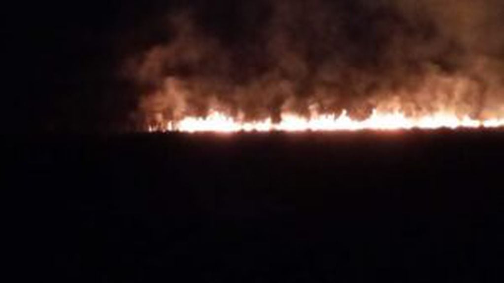 Se mantienen los focos de incendios forestales en la provincia de Misiones.